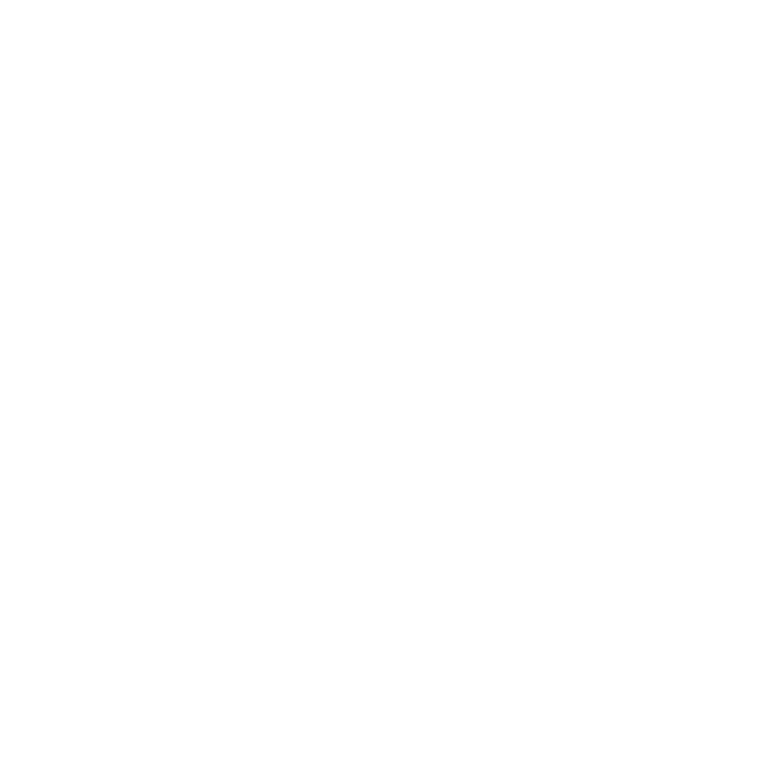 Fersov Cleaning Logo